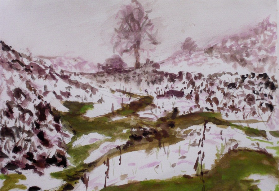 Bage Dingle - melting snow - Hergest Ridge - 4th February 2009