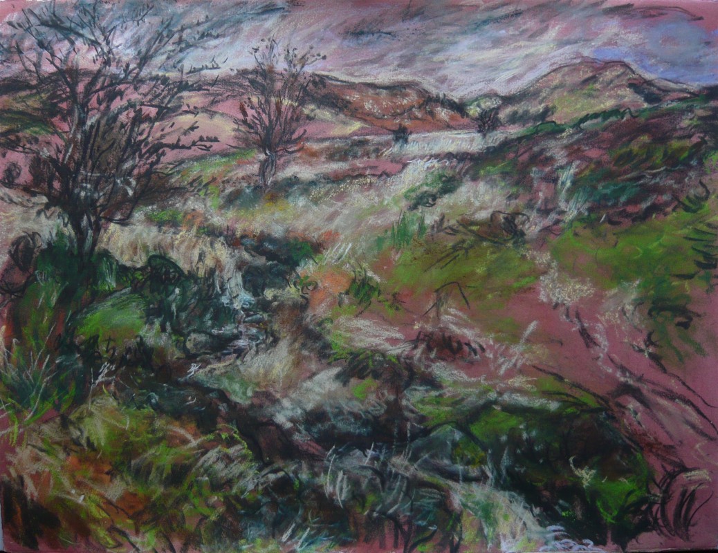 On Ireland Hill I - March 25th 2009