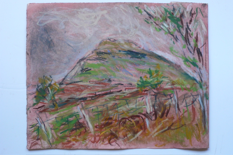 Mynydd Troed - May 2009