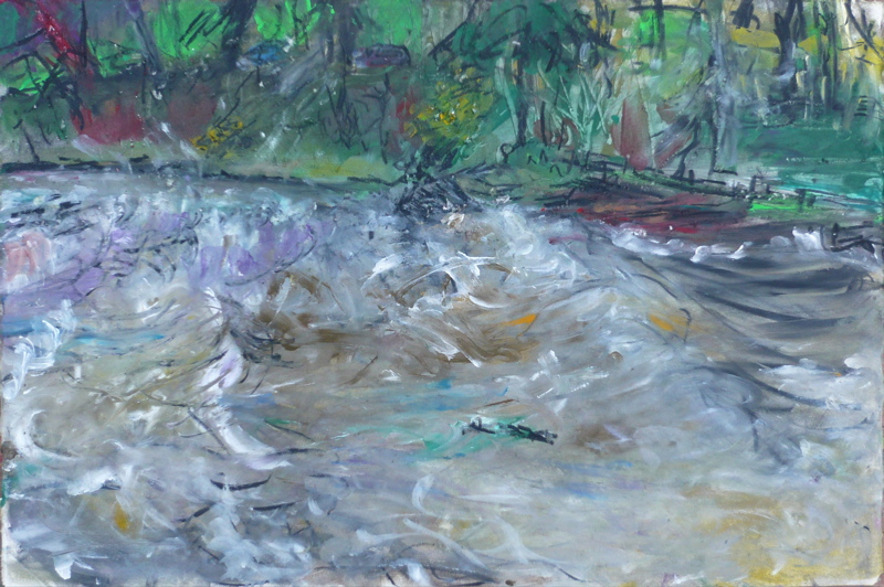 The River Wye at LLanstephan II - December 2009