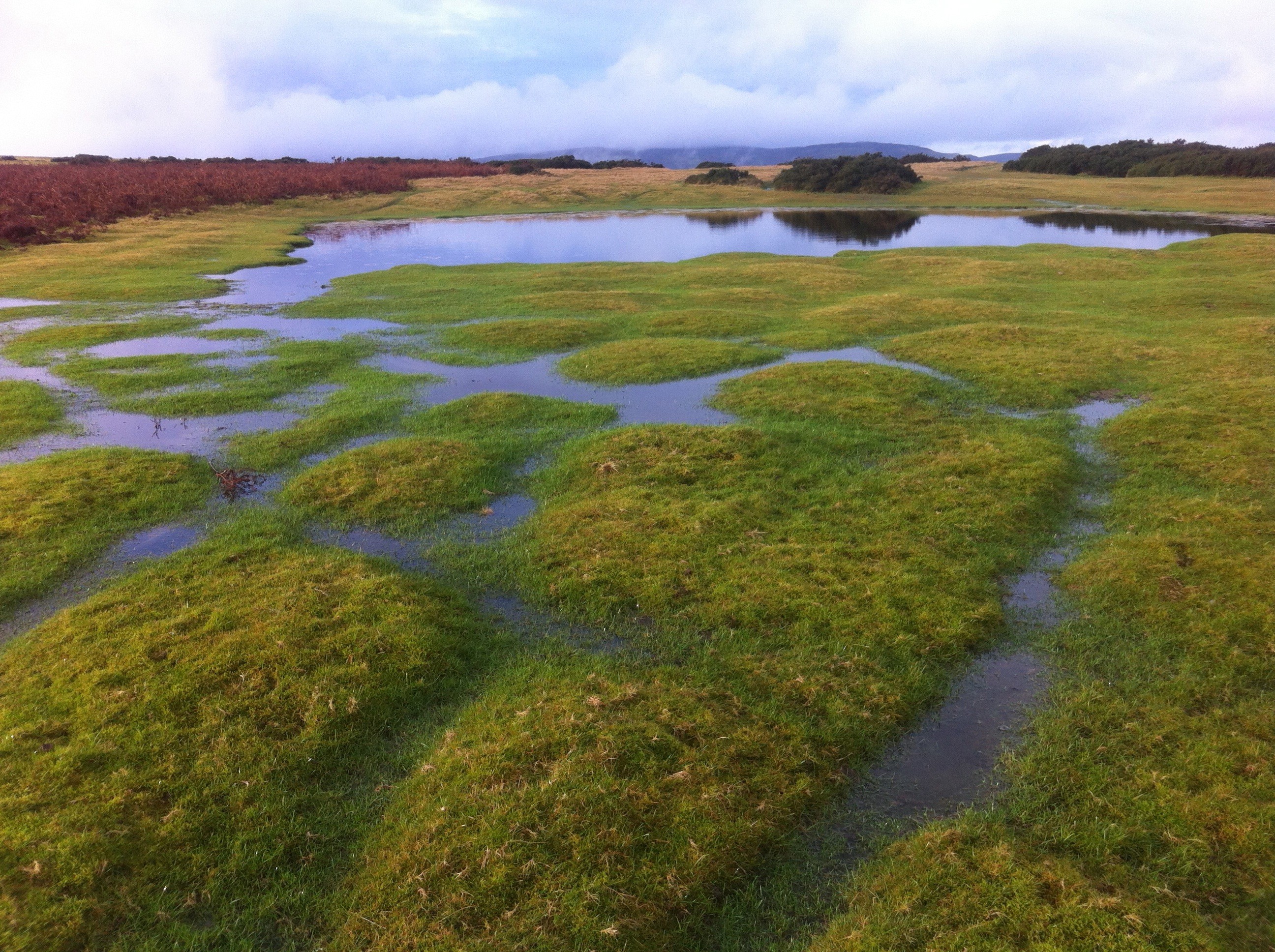 Pond on Hergest Ridge