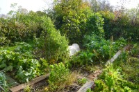 Veg garden